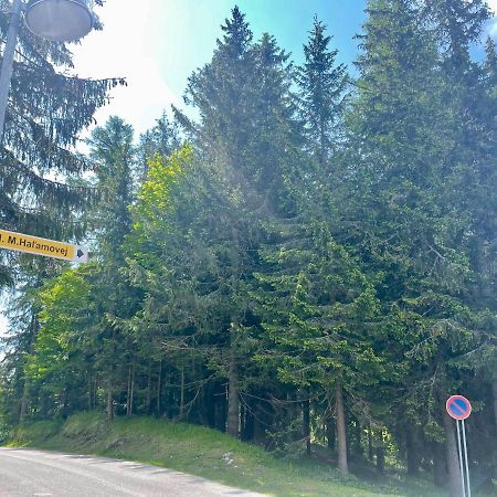 Tatry Ela Big Apartment Štrbské Pleso المظهر الخارجي الصورة